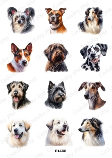 Rýžový a Soft  papír  A4 pro decoupage- R01468