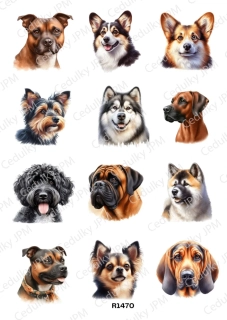 Rýžový a Soft  papír  A4 pro decoupage- R01470
