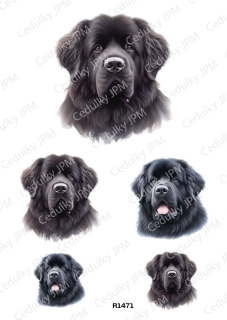 Rýžový a Soft  papír  A4 pro decoupage- R01471