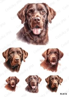 Rýžový a Soft  papír  A4 pro decoupage- R01472