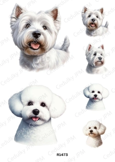 Rýžový a Soft  papír  A4 pro decoupage- R01473