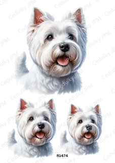 Rýžový a Soft  papír  A4 pro decoupage- R01474