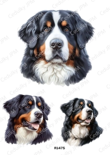 Rýžový a Soft  papír  A4 pro decoupage- R01475