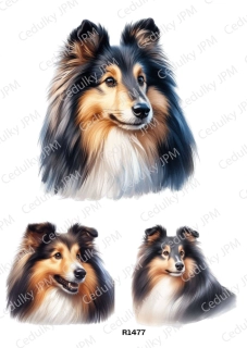 Rýžový a Soft  papír  A4 pro decoupage- R01477