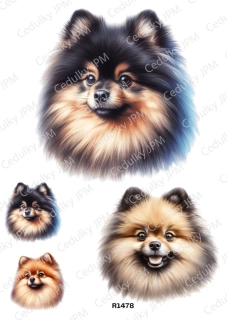 Rýžový a Soft  papír  A4 pro decoupage- R01478