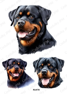 Rýžový a Soft  papír  A4 pro decoupage- R01479