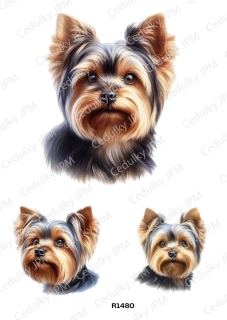 Rýžový a Soft  papír  A4 pro decoupage- R01480