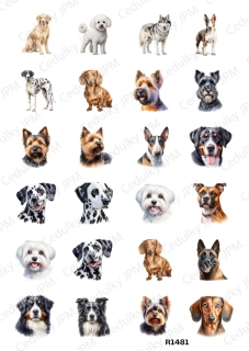 Rýžový a Soft  papír  A4 pro decoupage- R01481