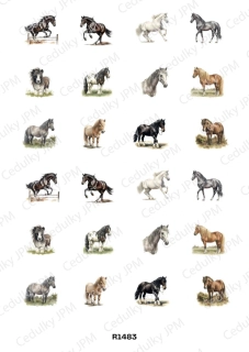 Rýžový a Soft  papír  A4 pro decoupage- R01483