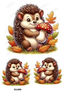 Rýžový a Soft  papír  A4 pro decoupage- R01489