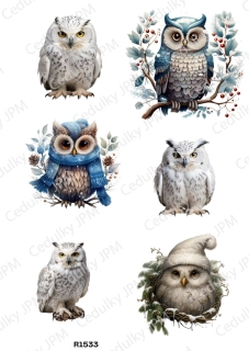 Rýžový a Soft papír A4 pro decoupage- R01533
