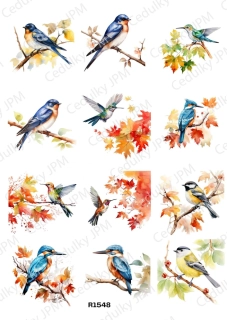 Rýžový a Soft papír A4 pro decoupage- R01548