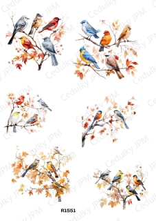 Rýžový a Soft papír A4 pro decoupage- R01551
