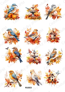 Rýžový a Soft papír A4 pro decoupage- R01553