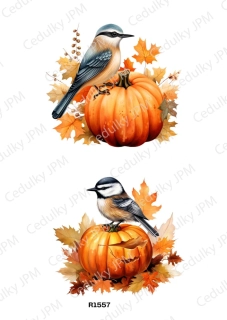 Rýžový a Soft papír A4 pro decoupage- R01557