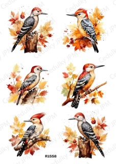 Rýžový a Soft papír A4 pro decoupage- R01558