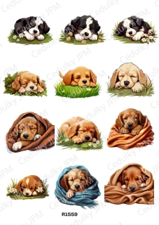 Rýžový a Soft  papír  A4 pro decoupage- R01559