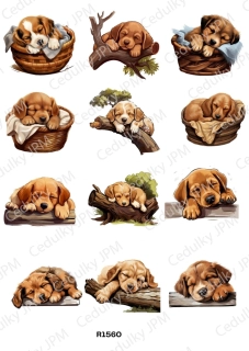 Rýžový a Soft  papír  A4 pro decoupage- R01560