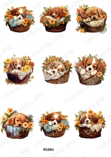 Rýžový a Soft  papír  A4 pro decoupage- R01561