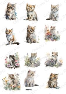Rýžový a Soft  papír  A4 pro decoupage- R01562