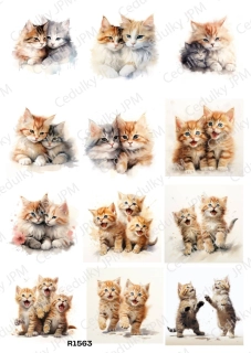 Rýžový a Soft  papír  A4 pro decoupage- R01563