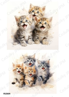 Rýžový a Soft  papír  A4 pro decoupage- R01564