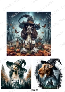 Rýžový a Soft  papír  A4 pro decoupage- R01587