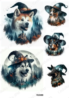 Rýžový a Soft  papír  A4 pro decoupage- R01588