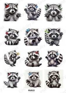 Rýžový a Soft  papír  A4 pro decoupage- R01613