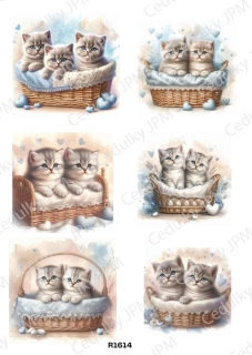 Rýžový a Soft  papír  A4 pro decoupage- R01614
