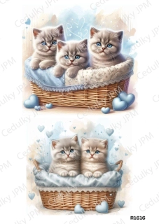 Rýžový a Soft  papír  A4 pro decoupage- R01616
