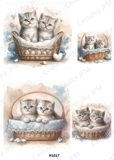 Rýžový a Soft  papír  A4 pro decoupage- R01617
