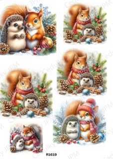 Rýžový a Soft  papír  A4 pro decoupage- R01619
