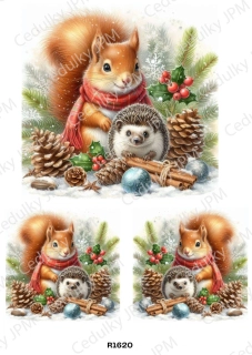 Rýžový a Soft  papír  A4 pro decoupage- R01620