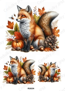 Rýžový a Soft  papír  A4 pro decoupage- R01624
