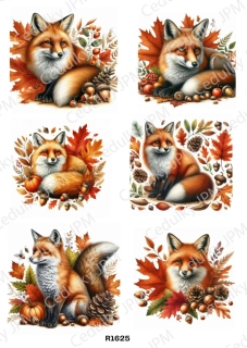 Rýžový a Soft  papír  A4 pro decoupage- R01625