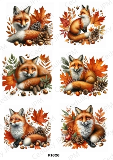 Rýžový a Soft  papír  A4 pro decoupage- R01626