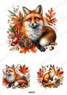 Rýžový a Soft  papír  A4 pro decoupage- R01627
