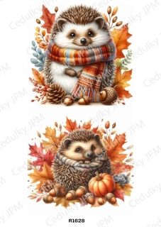 Rýžový a Soft  papír  A4 pro decoupage- R01628