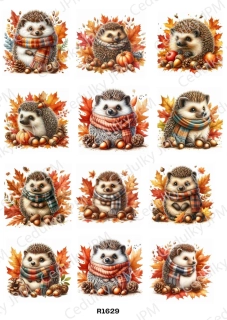 Rýžový a Soft  papír  A4 pro decoupage- R01629