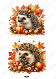 Rýžový a Soft  papír  A4 pro decoupage- R01630