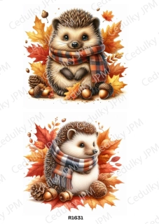 Rýžový a Soft  papír  A4 pro decoupage- R01631