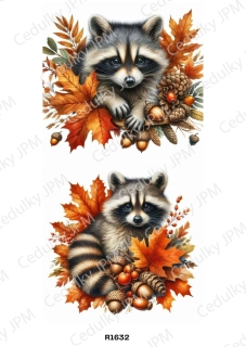 Rýžový a Soft  papír  A4 pro decoupage- R01632