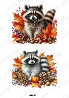 Rýžový a Soft  papír  A4 pro decoupage- R01633
