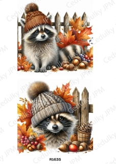 Rýžový a Soft  papír  A4 pro decoupage- R01635