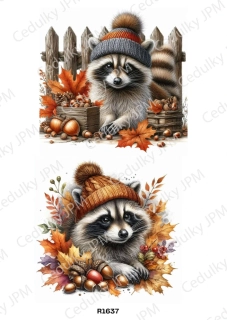 Rýžový a Soft  papír  A4 pro decoupage- R01637