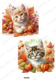 Rýžový a Soft  papír  A4 pro decoupage- R01655
