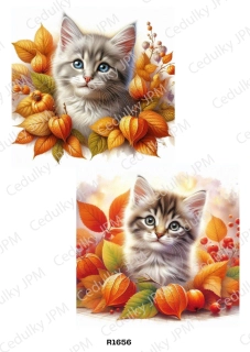 Rýžový a Soft  papír  A4 pro decoupage- R01656