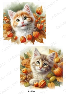 Rýžový a Soft  papír  A4 pro decoupage- R01658