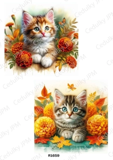 Rýžový a Soft  papír  A4 pro decoupage- R01659